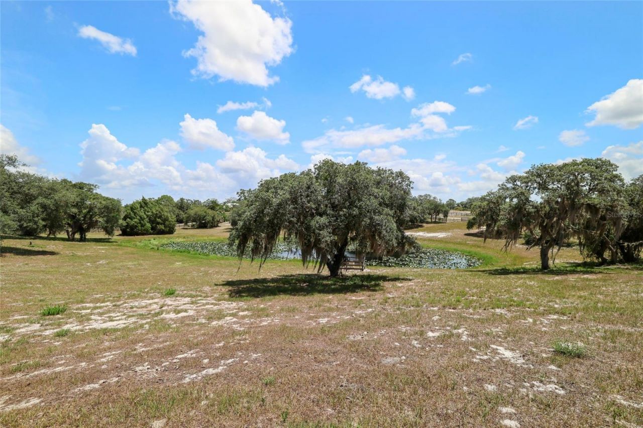 503 Bear Road Road , Lake Placid, FL 33852 Photo