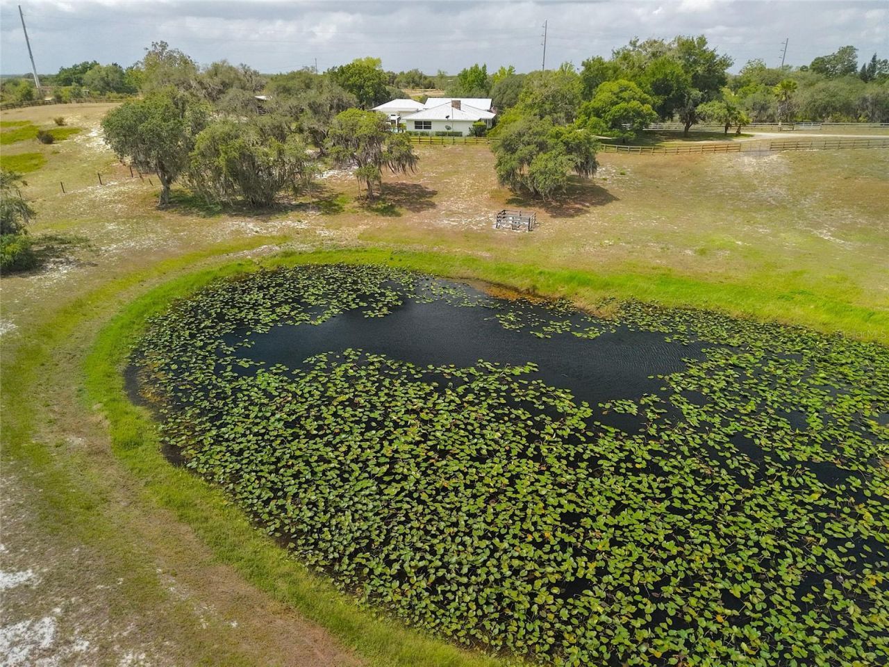 503 Bear Road Road , Lake Placid, FL 33852 Photo