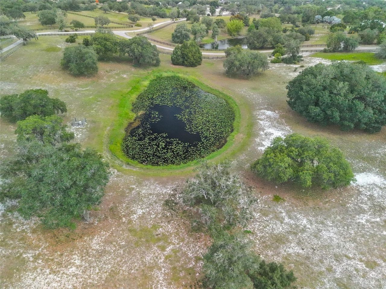 503 Bear Road Road , Lake Placid, FL 33852 Photo