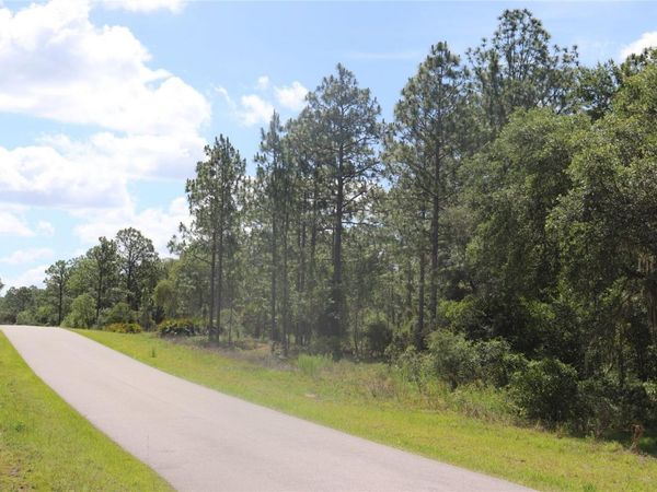 TBD SE 114TH PLACE , DUNNELLON, FL 34431
