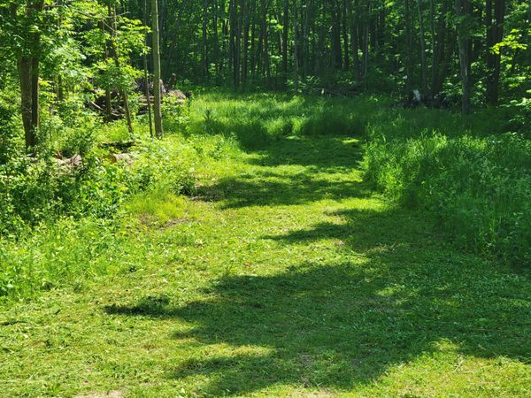 5673 Cr-23 , Brainerd, MN 56401