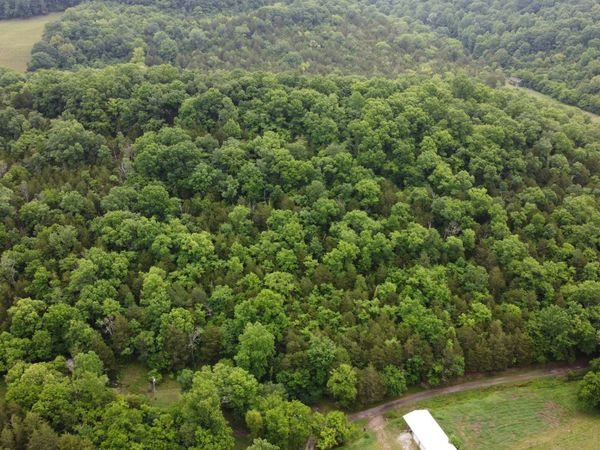 32 Patterson Ln , Pleasant Shade, TN 37145