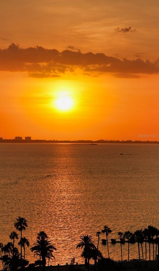 401 Quay , Unit 1004, Sarasota, FL 34236 Photo