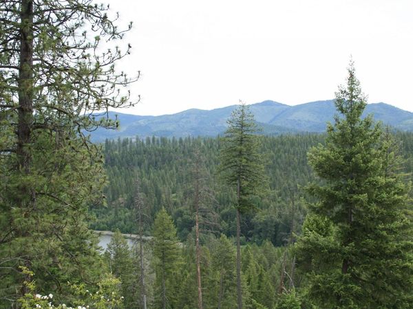 3XXX Beitey Rd, Valley, WA 99181