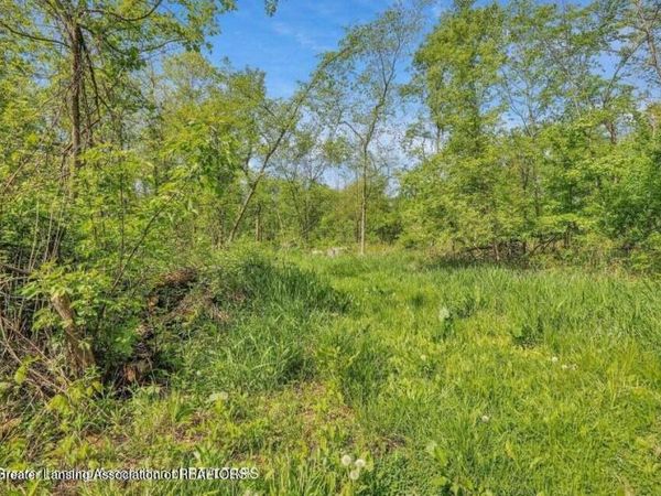 2935 Stillson Road, Stockbridge, MI 49285