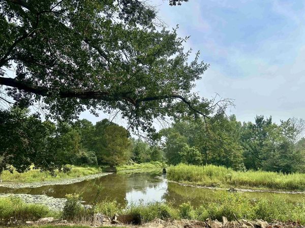 1950 S Amity Road , Conway, AR 72032