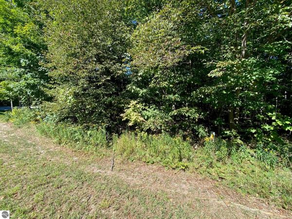 Lot 130 E Sugar Maple Drive, Cedar, MI 49621