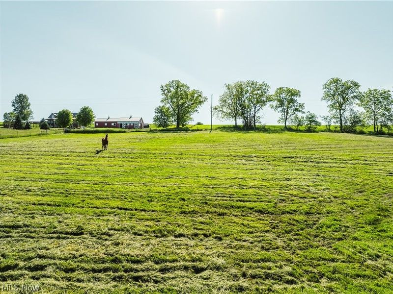 Cement Bridge Road NW, Dundee, OH 44624 Photo 5