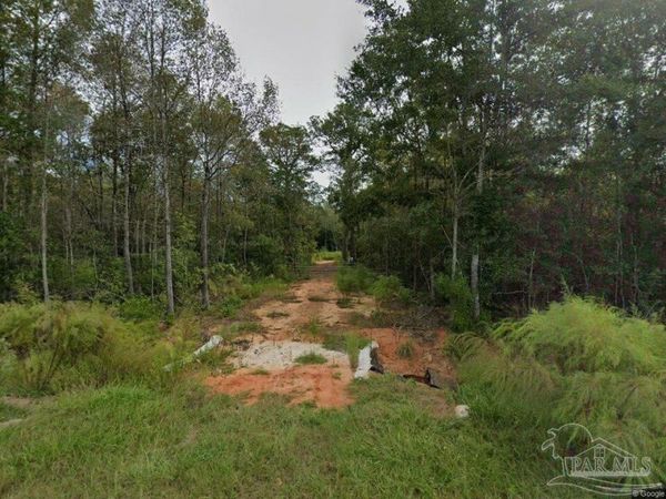 4536 Black Oak Rd, Milton, FL 32583