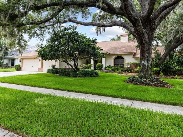 2555 MASON OAKS DRIVE, VALRICO, FL 33596