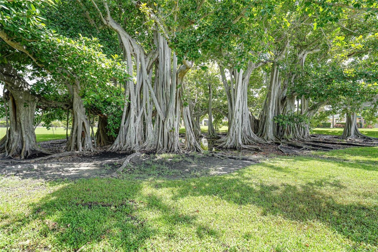 601 Shreve Street, Unit 51A, Punta Gorda, FL 33950 Photo