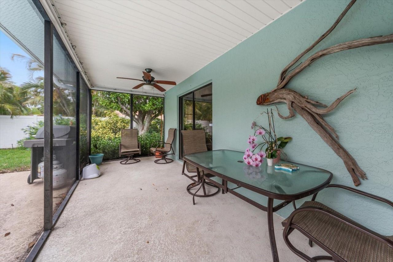 521 Meravan Drive , Palm Harbor, FL 34683 Photo
