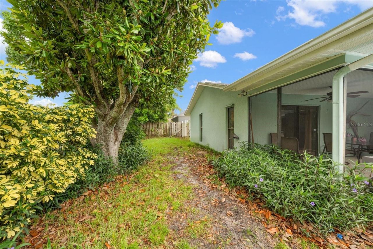 521 Meravan Drive , Palm Harbor, FL 34683 Photo