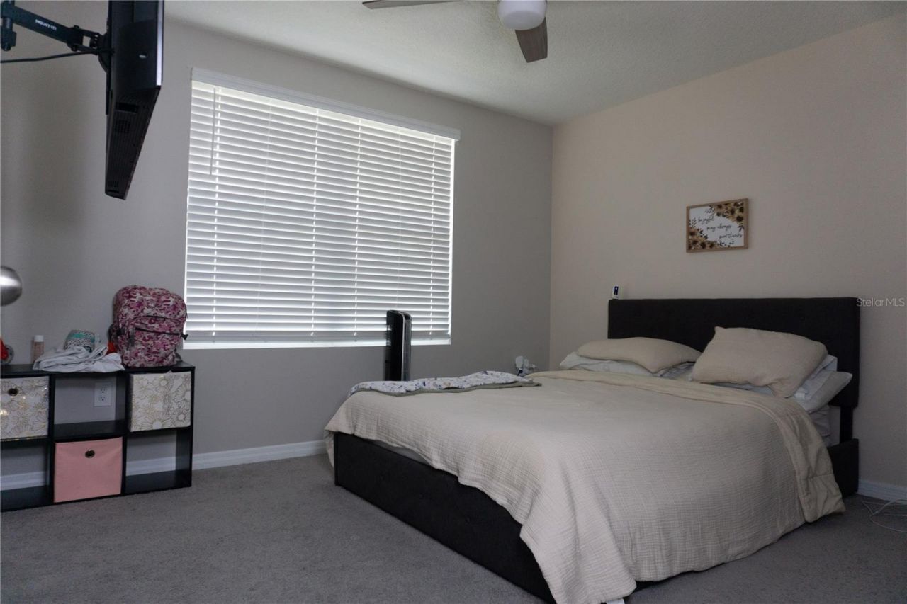7819 Sail Clover Lane , Zephyrhills, FL 33540 Photo