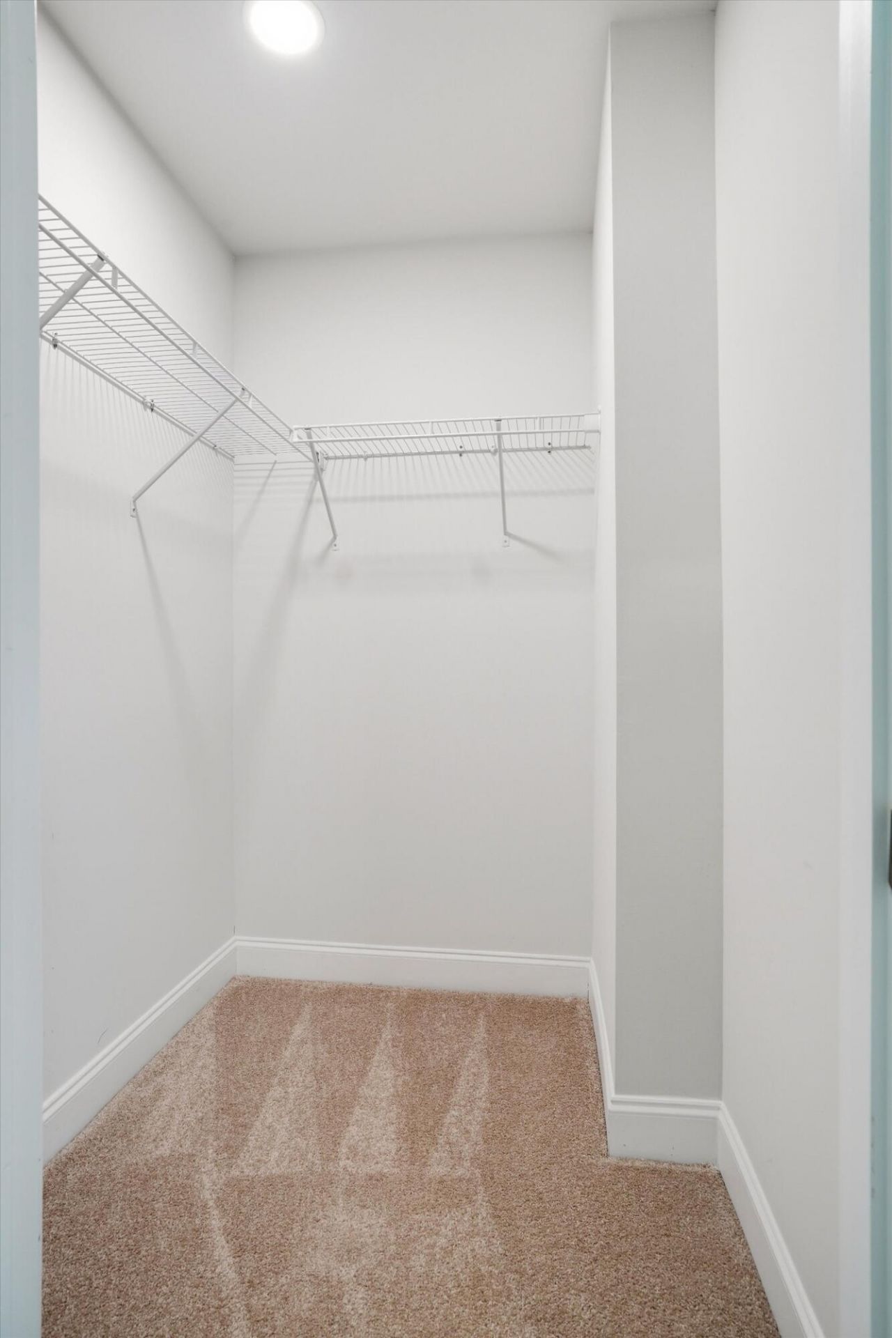 523 Green Fern Drive Photo 25