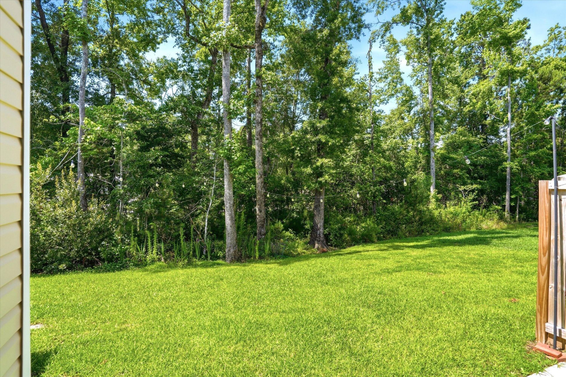 523 Green Fern Drive Photo 28