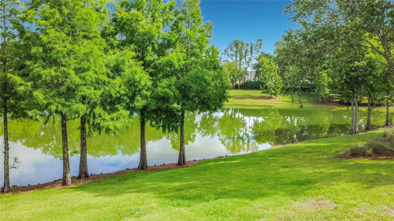 2547 Dividing Creek Path, The Villages, FL 32162 Photo