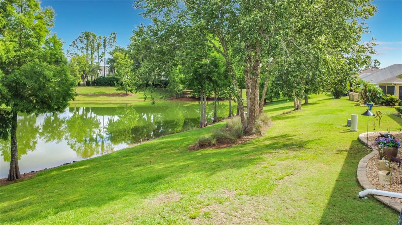 2547 Dividing Creek Path, The Villages, FL 32162 Photo