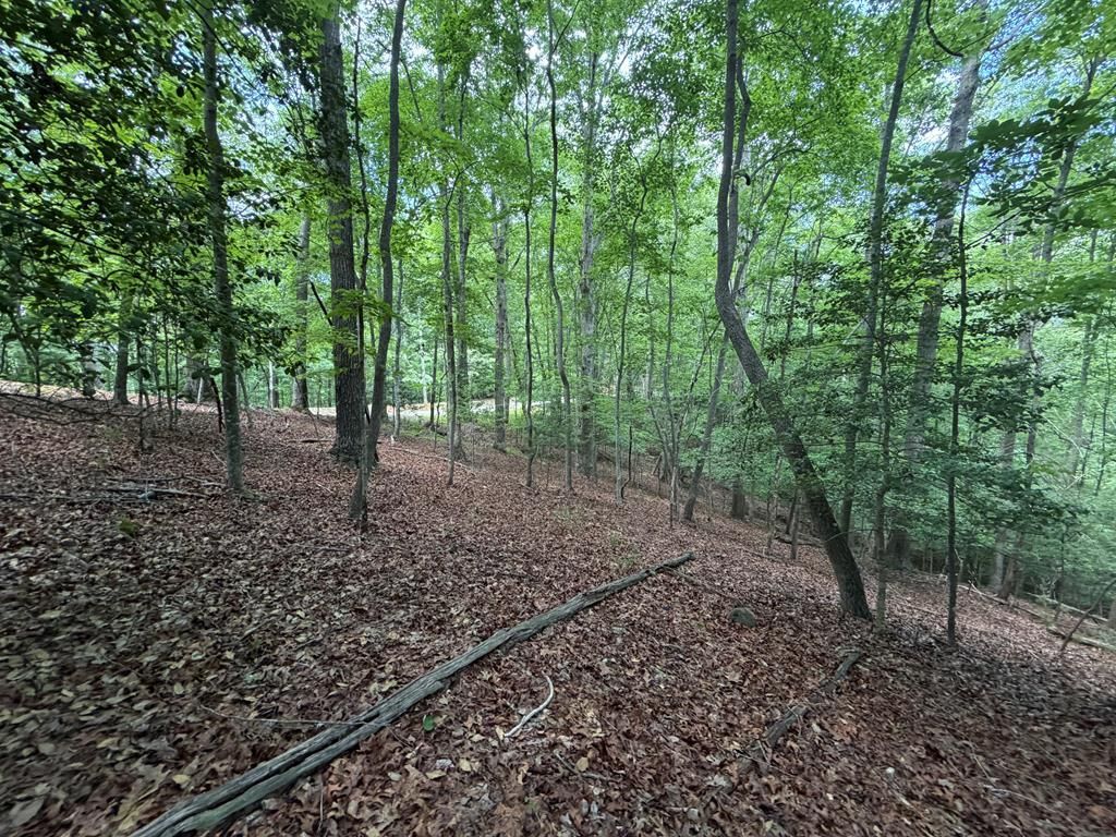 Lot 1049 Gateway Drive, Ellijay, GA 30540 Main Photo