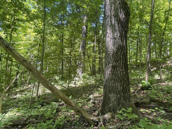 Lot 1 Ashland Ridge, Porters Falls, WV 26162