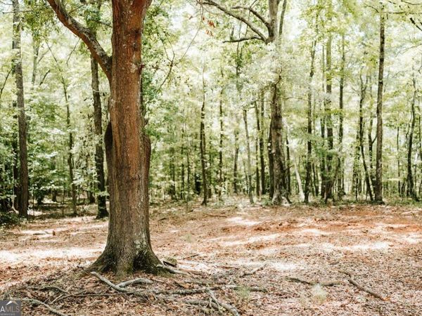 2605 Union Point Road, Union Point, GA 30669