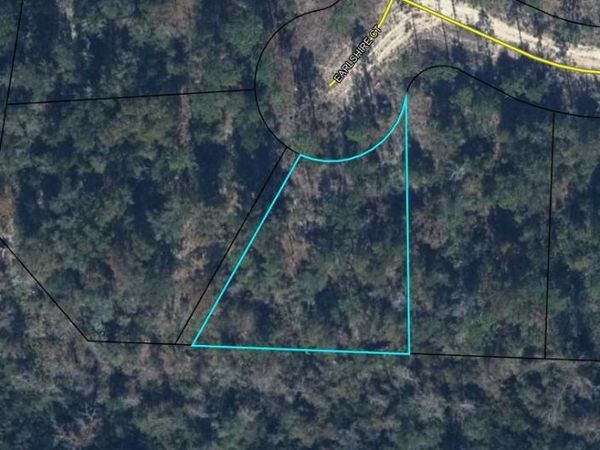 0 Earlshire Court , Chipley, FL 32428