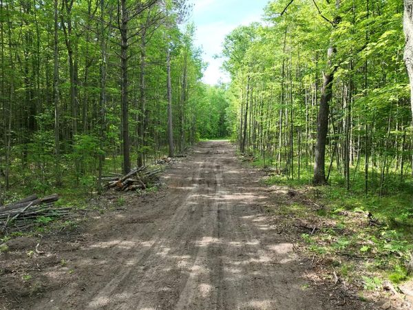0.98 AC State Street, Roscommon, MI 48653
