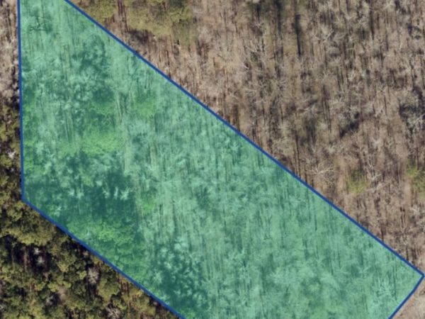 Lot 1 County Road 50, Leesburg, AL 35983