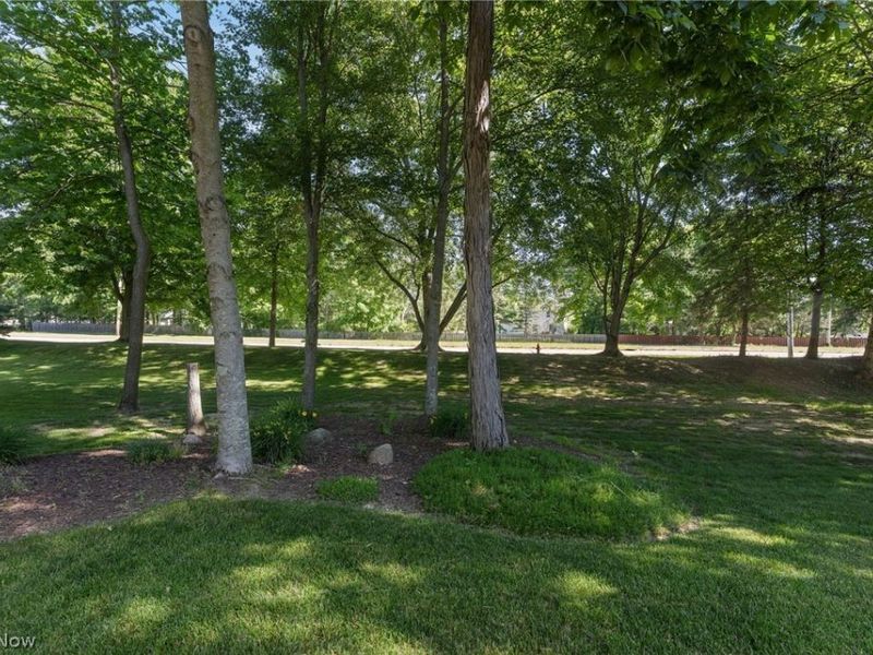 9187 Davis Way, Twinsburg, OH 44087 Photo 44