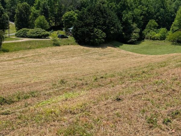 1 Henry Moss Lane , Marble, NC 28905