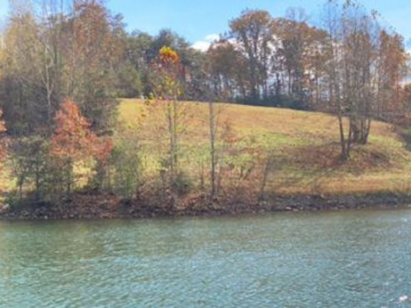 981 Bremble DR, Moneta, VA 24121