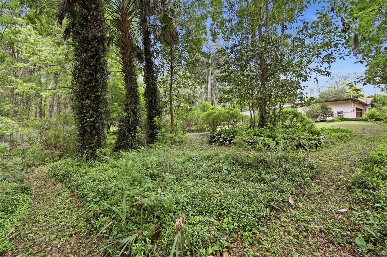 6605 NW 16th Place , Gainesville, FL 32605 Photo