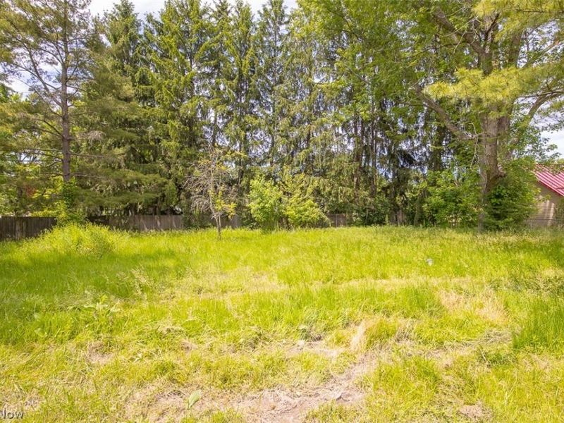 4215 Tapper Road , Norton, OH 44203 Photo 29