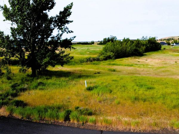 Lot 47 Fairway Drive, Council, ID 83612