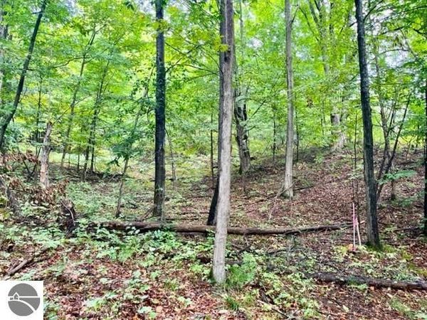 Killdale Avenue, Benzonia, MI 49616