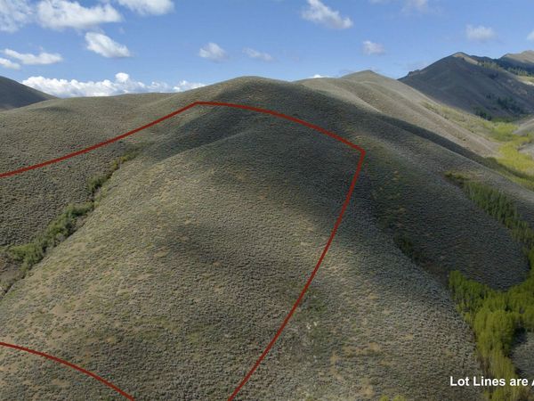 TBD Lees Gulch Rd, Bellevue, ID 83313