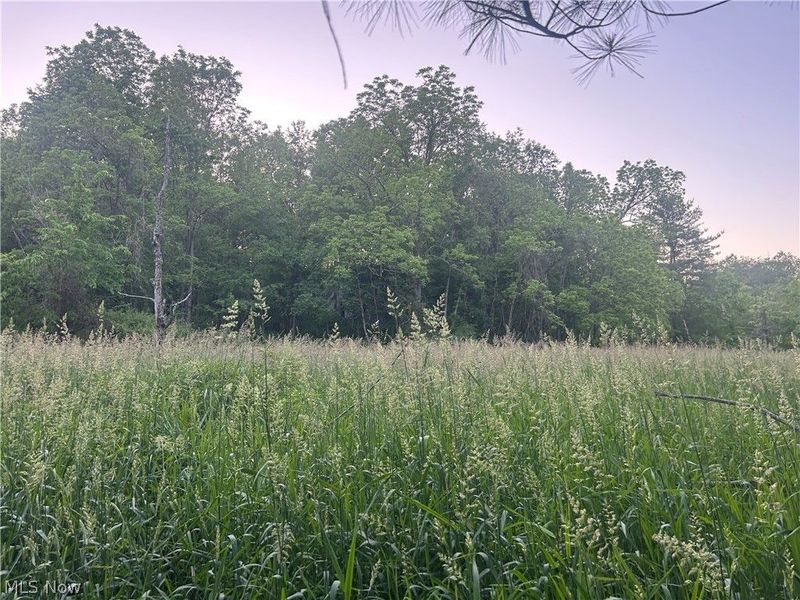 Cr 80, Frazeysburg, OH 43822 Photo 11
