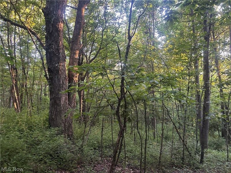 Cr 80, Frazeysburg, OH 43822 Photo 12