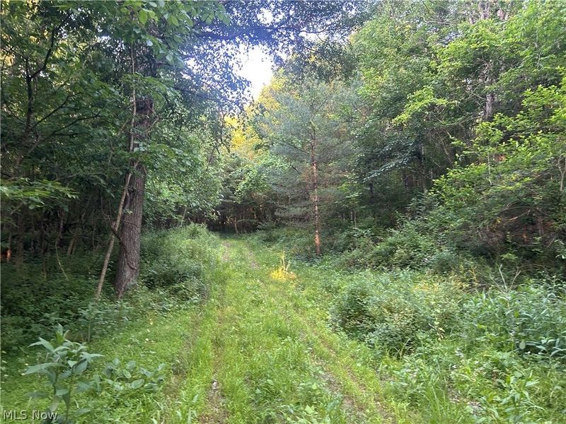 Cr 80, Frazeysburg, OH 43822 Photo 14