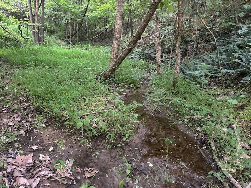 Cr 80, Frazeysburg, OH 43822 Photo 15