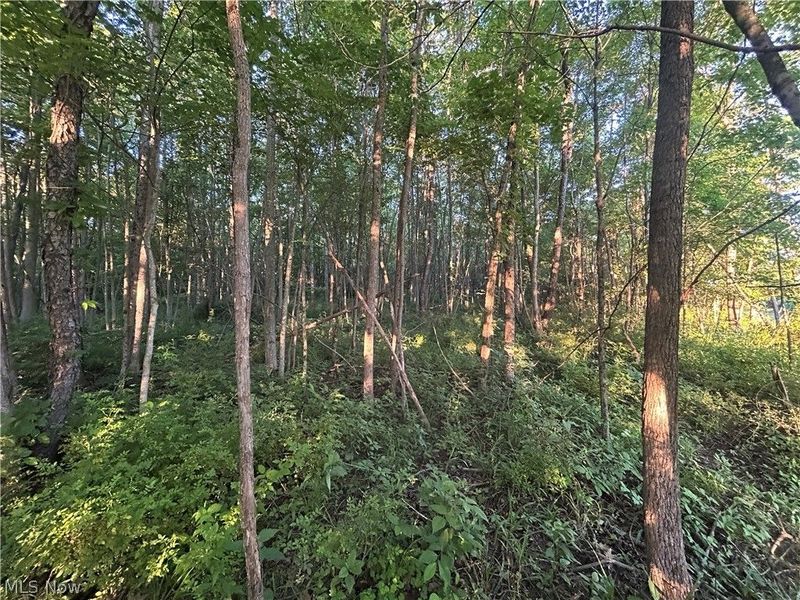 Cr 80, Frazeysburg, OH 43822 Photo 24