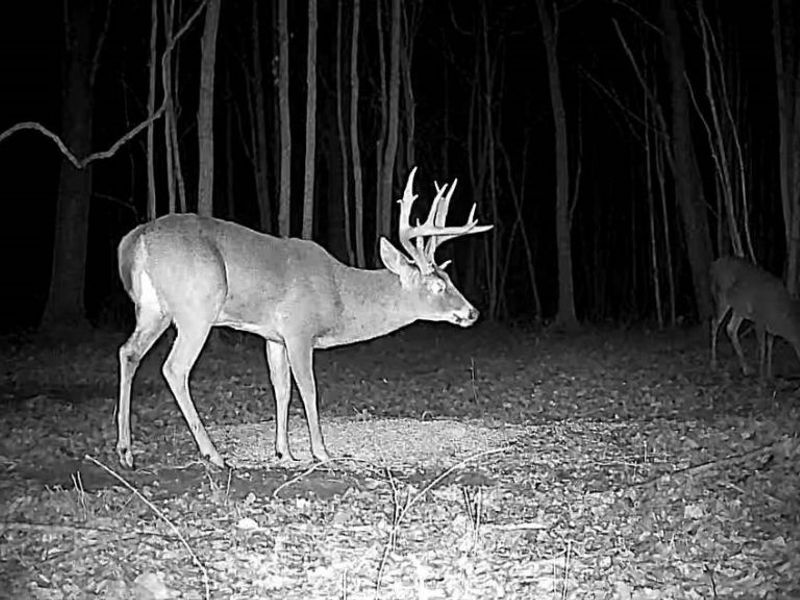 Cr 80, Frazeysburg, OH 43822 Photo 28