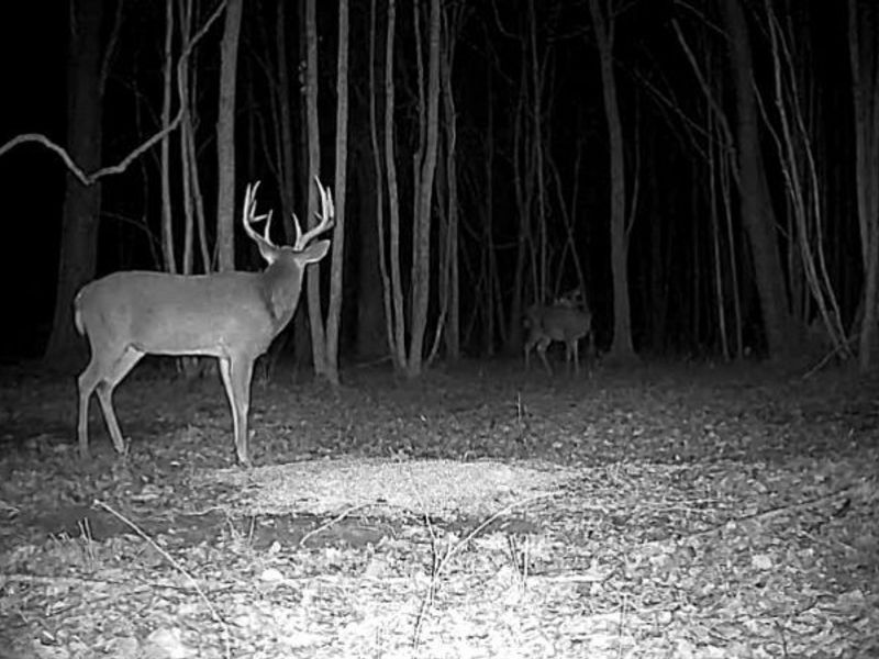 Cr 80, Frazeysburg, OH 43822 Photo 29