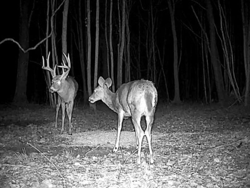 Cr 80, Frazeysburg, OH 43822 Photo 30