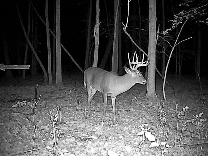 Cr 80, Frazeysburg, OH 43822 Photo 31