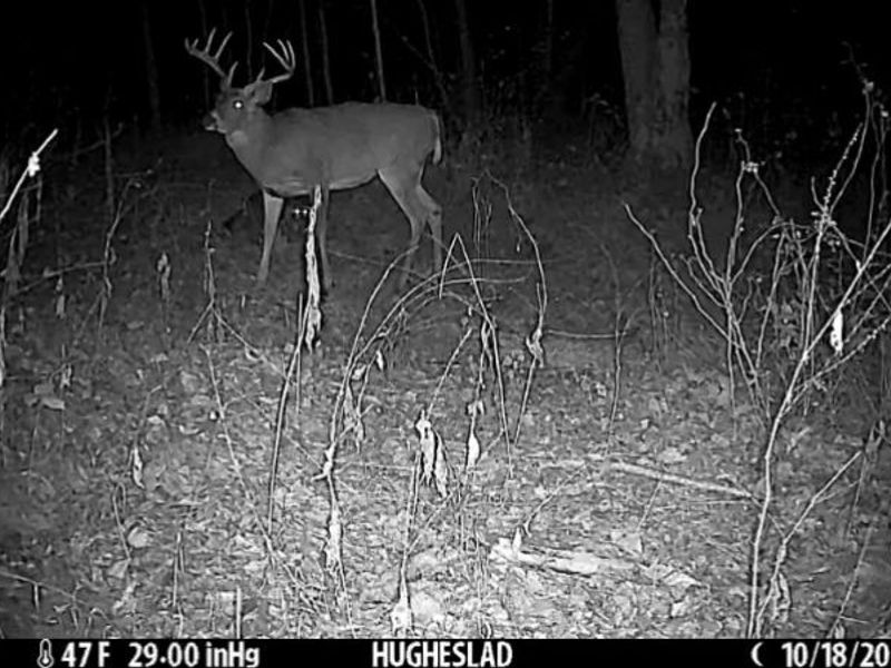 Cr 80, Frazeysburg, OH 43822 Photo 32