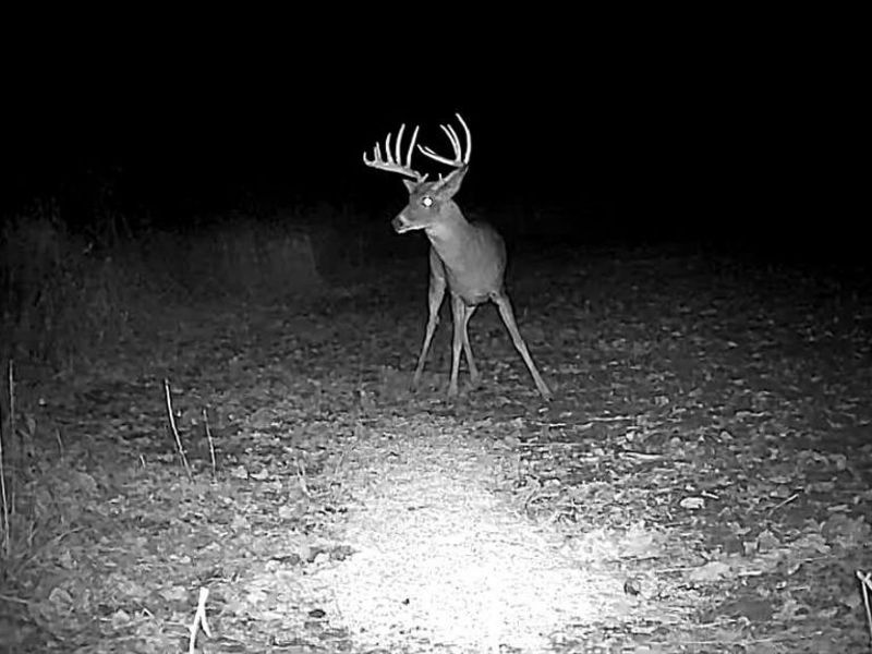 Cr 80, Frazeysburg, OH 43822 Photo 34