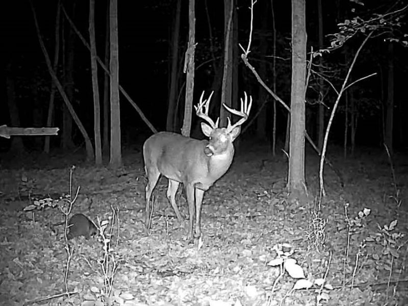 Cr 80, Frazeysburg, OH 43822 Photo 35