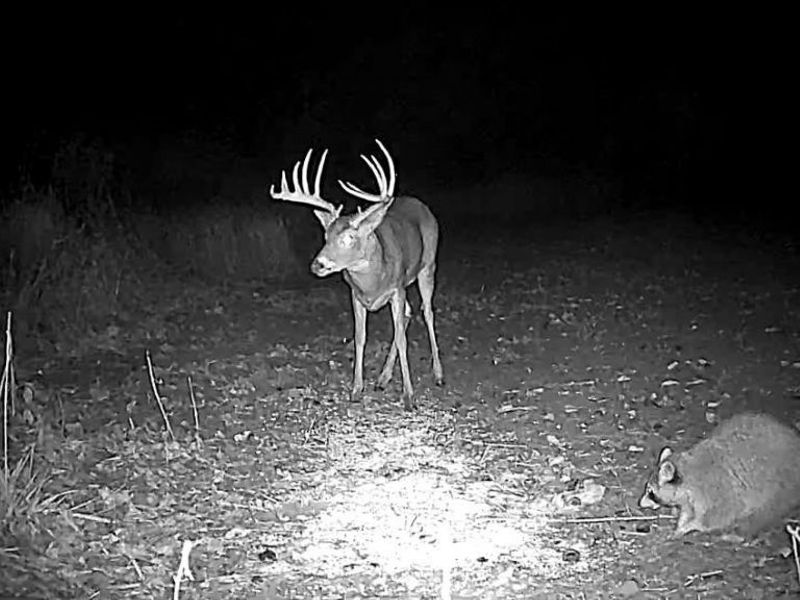 Cr 80, Frazeysburg, OH 43822 Photo 36