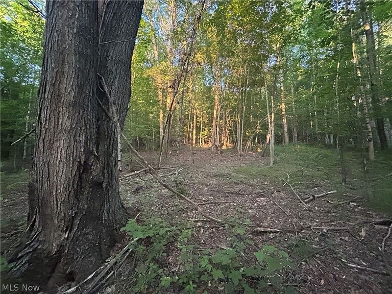 Cr 80, Frazeysburg, OH 43822 Photo 6